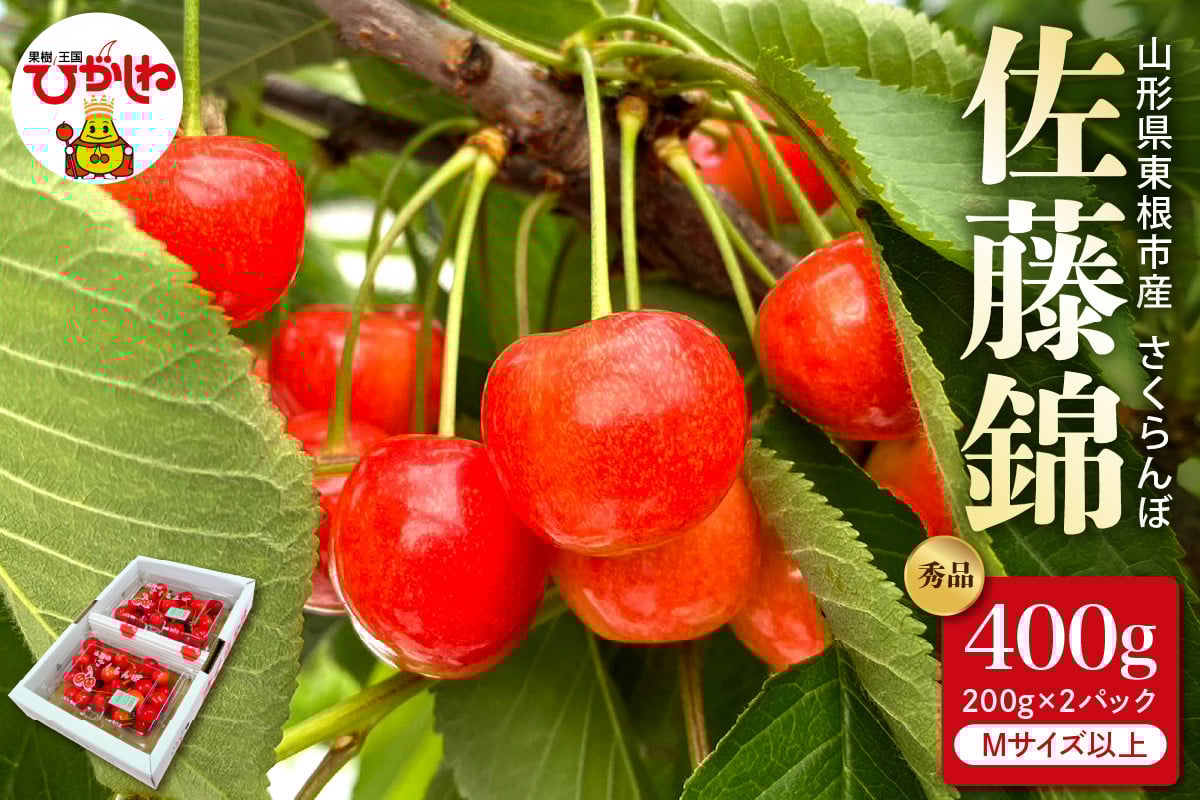 
                  【2026年産 先行予約】さくらんぼ「佐藤錦」秀品 400gバラ詰め（200g×2パック） Mサイズ以上 山形県 東根市 hi088-009
                