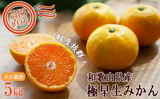 極早生みかん 約5kg 大小混合 《ご家庭用》 ちょっと訳あり 和歌山県産 農園直送 まごころ産直みかん 【北海道・沖縄県・一部離島 配送不可】下津の極早生みかん 和歌山の極早生みかん ミカン みかん Mikan 蜜柑 温州みかん わけあり 訳アリ ［Mg18］