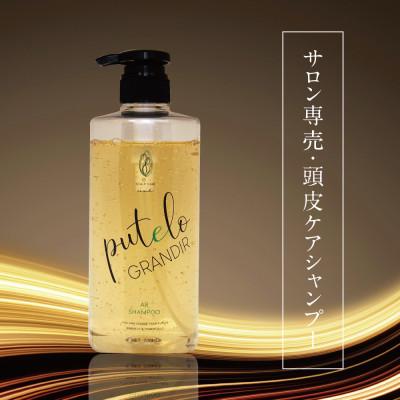 ふるさと納税 富田林市 プテロ　ARシャンプー　グランディール　700ml