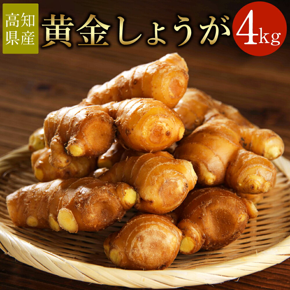 【ふるさと納税】【高知県産】黄金しょうが 4kg 生姜 野菜 特産品 香美市 高知県 送料無料