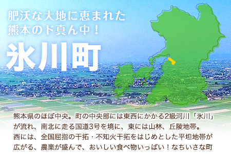 熊本県産 若鶏手羽元 約4kg 2kg×2P 《30日以内に出荷予定(土日祝除く)》｜手羽元手羽元手羽元手羽元手羽元手羽元手羽元手羽元手羽元手羽元手羽元手羽元手羽元手羽元手羽元手羽元手羽元手羽元手羽元