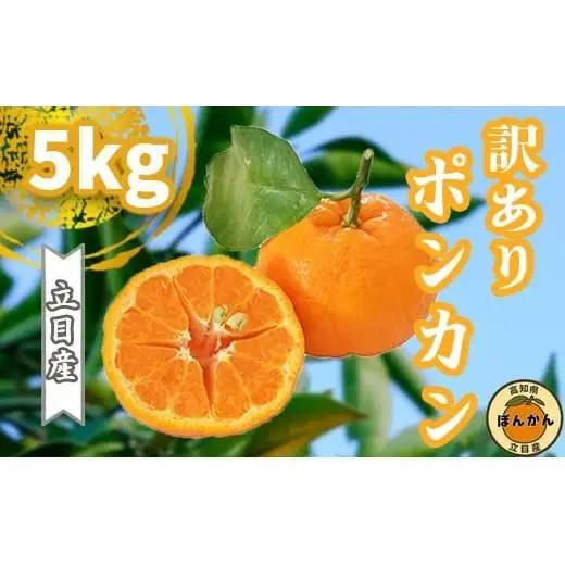 【 ぽんかん 】 ぽんかん早期予約訳あり5kg