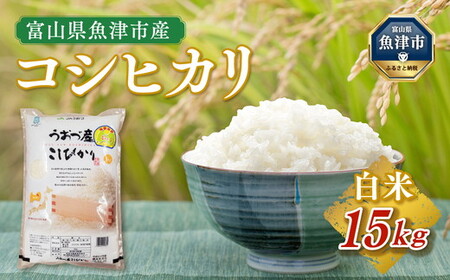 【令和8年度米】富山県 うおづ産米「コシヒカリ」15kg（5kg×3袋）（精米）｜こしひかり こめ コメ お米 おこめ 白米 精米 雪解け水 香り うまみ あまみ 冷めても 美味しい おにぎり お弁当 高品質 魚津市 ※2026年10月～発送