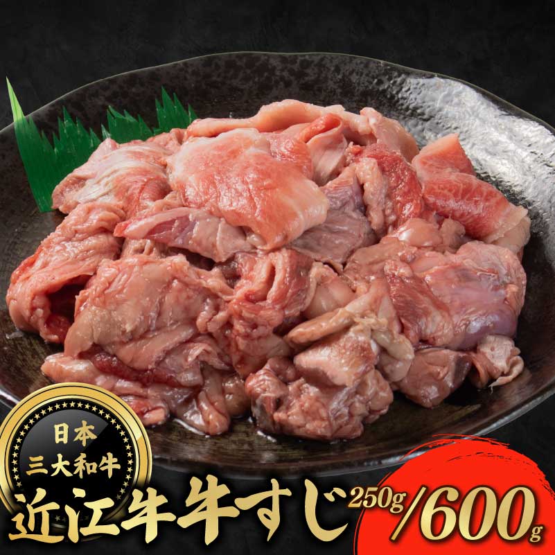 【ふるさと納税】 近江牛 牛すじ 250g / 600g 牛スジ スジ肉 牛スジ肉 冷凍 和牛 国産 贈答 ギフト プレゼント お祝い 日本三大和牛 クリスマス 年末 年始 父の日 母の日 焼肉 BBQ キャンプ すじ肉 滋賀 彦根