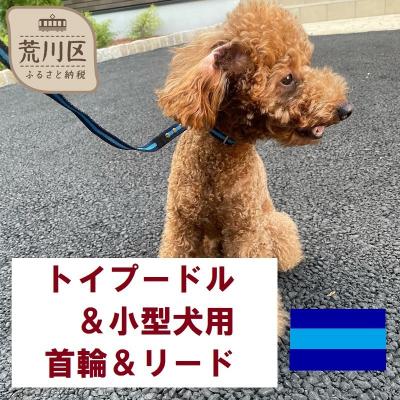 ふるさと納税 荒川区 トイプードル及び小型犬用カラー(首輪)&amp;リード(カラー:紺・水色・紺)【001-006】