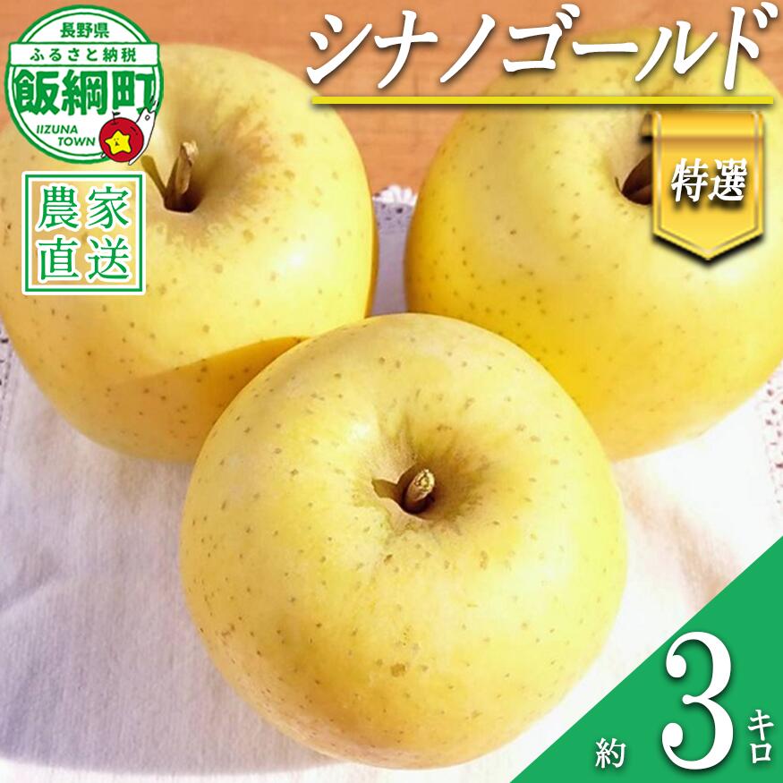 【ふるさと納税】 りんご シナノゴールド 特選 3kg やまじゅうファーム 沖縄県への配送不可 令和8年度収穫分 信州の環境にやさしい農産物 減農薬栽培 長野県 飯綱町 【 信州 果物 フルーツ リンゴ 林檎 長野 16000円 】発送時期：2026年11月上旬〜