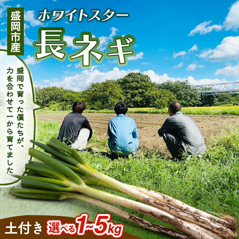 【ふるさと納税】岩手県盛岡市産土付き長ネギ 選べる 1kg/2kg/3kg/4kg/5kg ねぎ 新鮮 野菜 長ネギ 白ネギ 長ねぎ 白ねぎ 葱 土付き 国産 甘い 美味しい おいしい 鍋