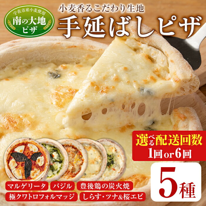 【ふるさと納税】＜配送回数が選べる！＞南の大地ピザ Aセット(合計5枚×1回・毎月6回)ピザ イタリアン 冷凍 お祝い パーティー 惣菜 こだわり セット 定期便【102100100・202100100】【スターフーズ】