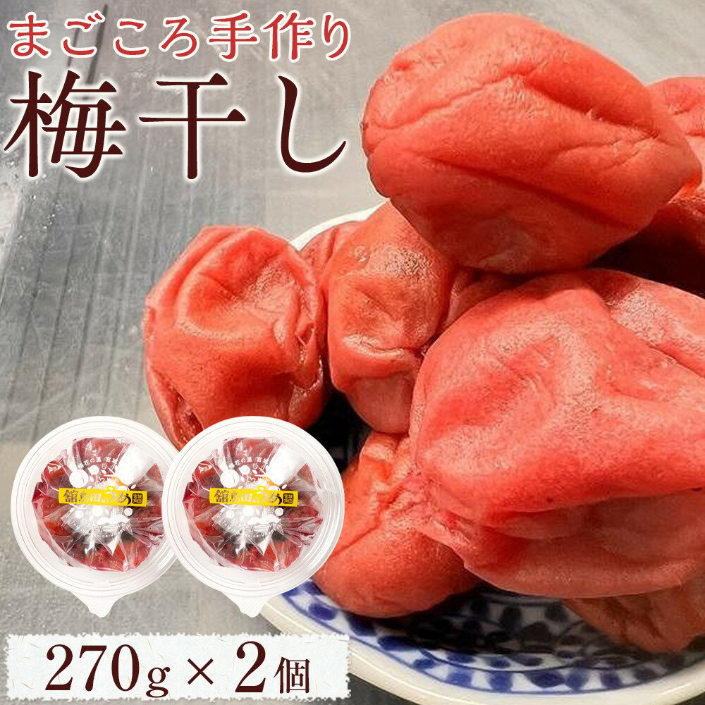 【ふるさと納税】【先行予約 10月下旬以降発送】無添加 梅干し 270g × 2個 | 手作り 梅干 うめぼし うめ干し 塩分 15% 〜 18% すっぱい 熱中症対策 お試し お取り寄せ 国産 人気 おすすめ 宮城