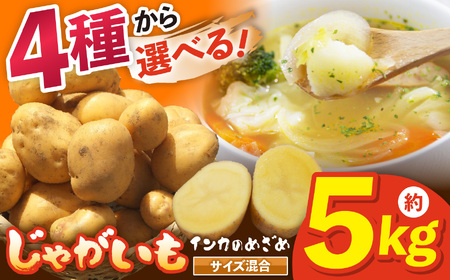 兵庫安心ブランド・インカのめざめS～L混合サイズ約5㎏ 栽培期間中農薬・化成肥料不使用 | インカのめざめ じゃがいも 無農薬 無化学肥料 自然栽培 国産 自然の恵み こだわり栽培 兵庫県 上郡町