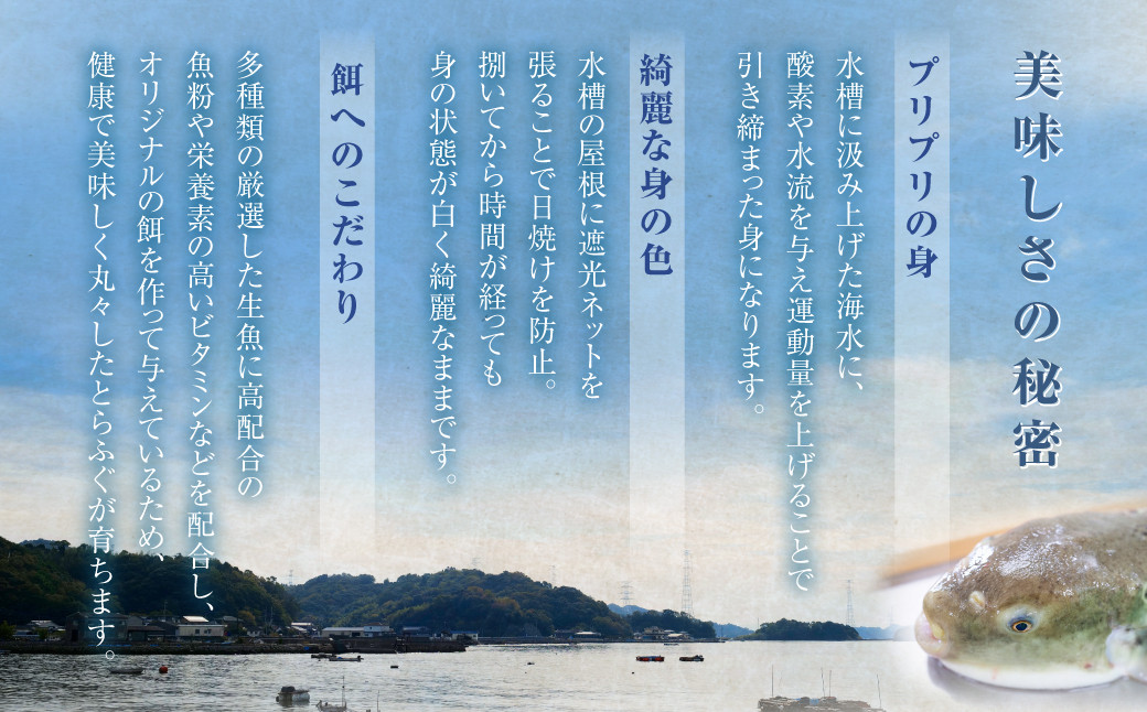 とらふぐフルコース【梅】吉宝ふぐ （30cmプラ皿盛り・3人前）