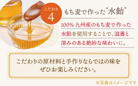 【全6回定期便】「こだわりの逸品」長崎 カステラ [1.2号] 計12本（0.6号10切入×2本入/回）【文明堂総本店】[QAU021]