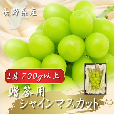 【2026年先行予約開始!】贈答用 厳選シャインマスカット 1房(700g以上)【配送不可地域：離島】【1682433】