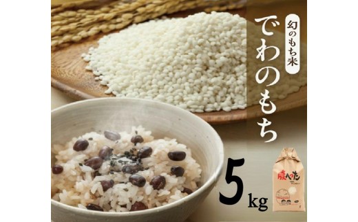 令和7年産【もち米】でわのもち　5kg(5kg×1袋) YA SB0864