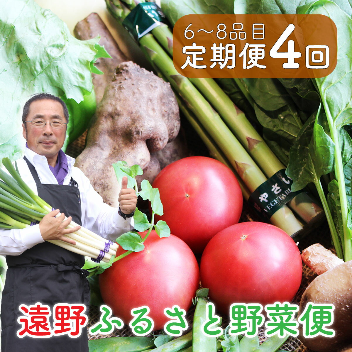 【ふるさと納税】遠野 ふるさと 野菜便 定期便 年4回 6〜8品目《 野菜ソムリエ 上級プロ 厳選 》/ 岩手県 遠野市 産 野菜 やさい セット 詰め合わせ 旬 新鮮 産地直送 採れたて おまかせ 送料無料