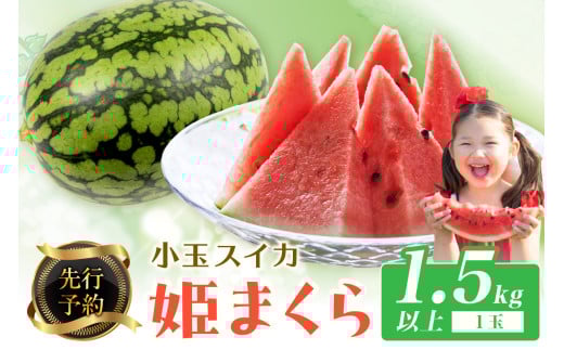 【先行予約】小玉スイカ 姫まくら 1玉（1.5kg以上）（2026年7月上旬～発送）小玉 こだま 西瓜 すいか 人気 フルーツ 果物 　BF00007
