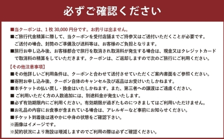 山梨県身延町 日本旅行 地域限定旅行クーポン 150,000円分 旅行 観光 ホテル 旅館 宿泊 クーポン 地域限定 山梨県 身延町