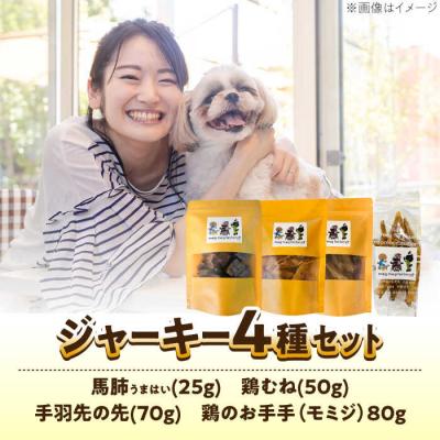 ふるさと納税 糸島市 わんこのおやつ(犬)無添加手づくり4種詰め合わせセット mogmogfactory[AXO005] |  | 02
