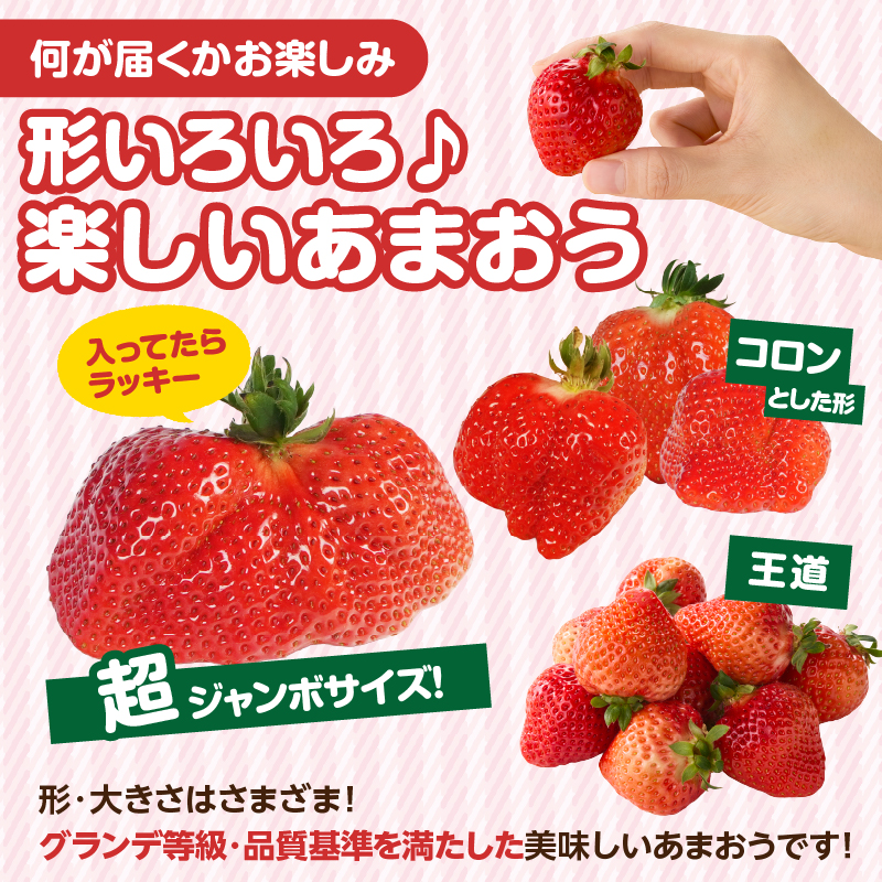 【先行受付：2027年2月発送開始】博多あまおうＧ270g×10パック｜JAふくおか八女 あまおう いちご 苺 イチゴ フルーツ 果物 くだもの 人気 旬 福岡県産 大粒 アフター補償 数量限定 期間