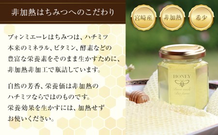【最速便】【数量・期間限定】宮崎産非加熱ハチミツ(南国青島シリーズ)2～3種 ブォンミエーレ春のハチミツ160g×3本セット 蜂蜜 国産 非加熱
