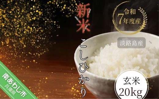 令和7年産新米　淡路島産こしひかり　玄米20㎏