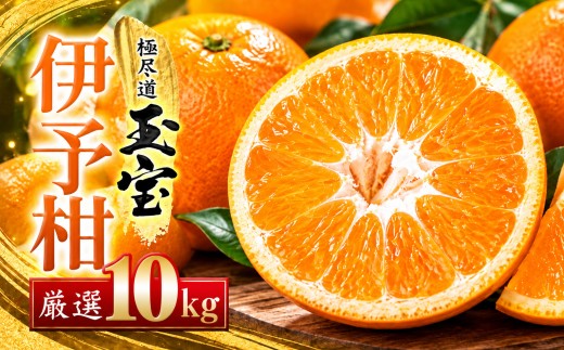 ＜愛媛名産＞玉宝伊予柑　10kg＜F64-60＞【1510839】 YWTY049