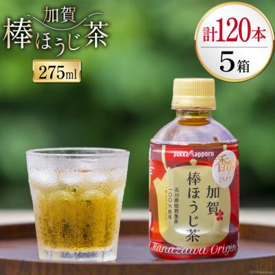 ふるさと納税 宝達志水町 ペットボトル 加賀 棒ほうじ茶 275ml 24本 5箱 計120本 [油谷製茶 38600751]