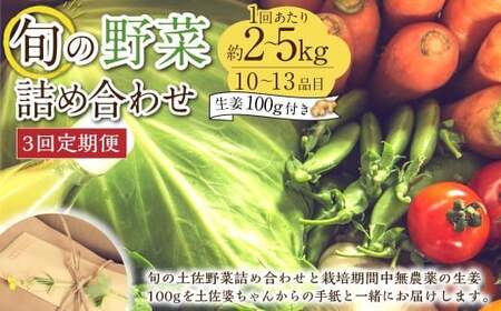 【定期便3回】旬の野菜の詰め合わせと栽培期間中農薬不使用の生姜100g付き 詰め合わせ 野菜セット 野菜 ギフト やさいセット お取り寄せグルメ 家庭用 旬野菜 新鮮 特産 農薬不要 食材