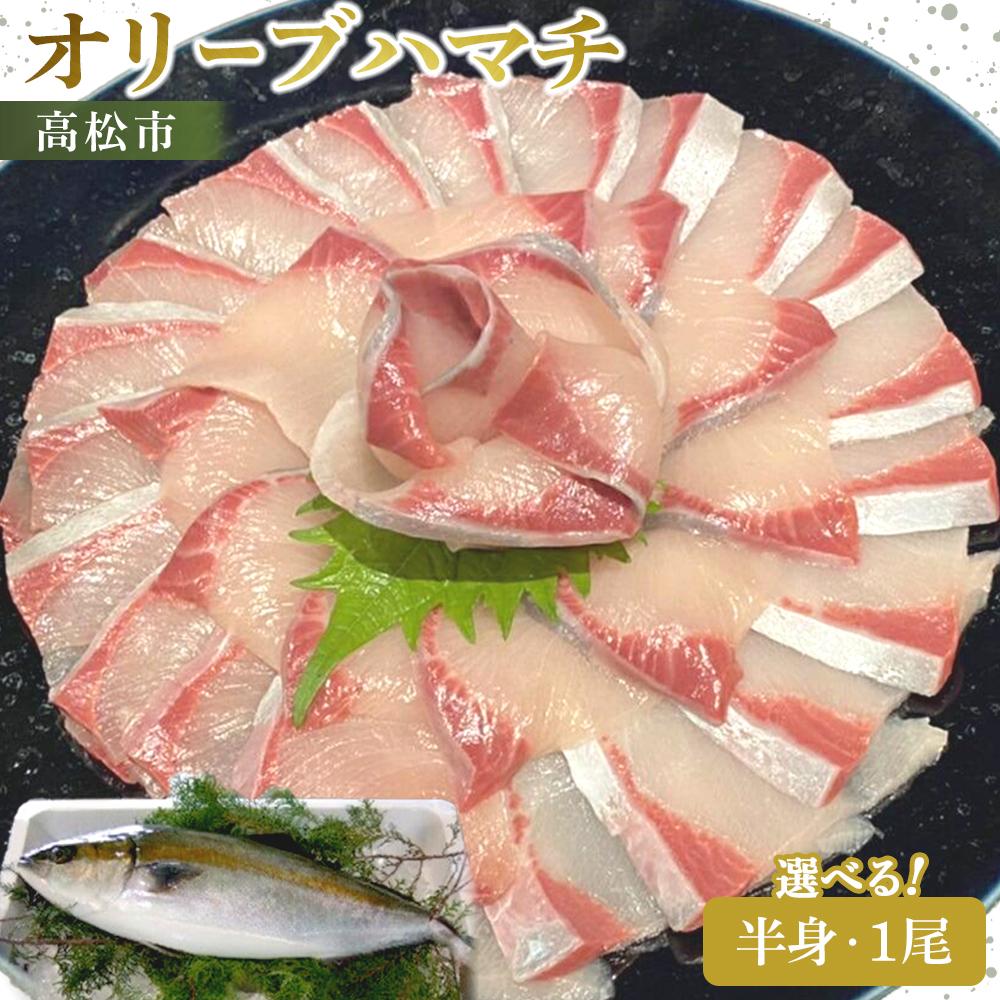 【ふるさと納税】オリーブハマチ（1尾 約4kg　or　半身 約1kg） | ハマチ 刺身 塩焼き しゃぶしゃぶ 酸化や変色しにくい肉質 さっぱりとした味わい オリジナルブランド 食品 食べ物 魚介類 お取り寄せ 冷蔵 送料無料 香川県 高松市