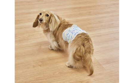 【4枚入×6個】ペット用おむつ ピタフィット Ｓ 男の子用  MNPD-S4