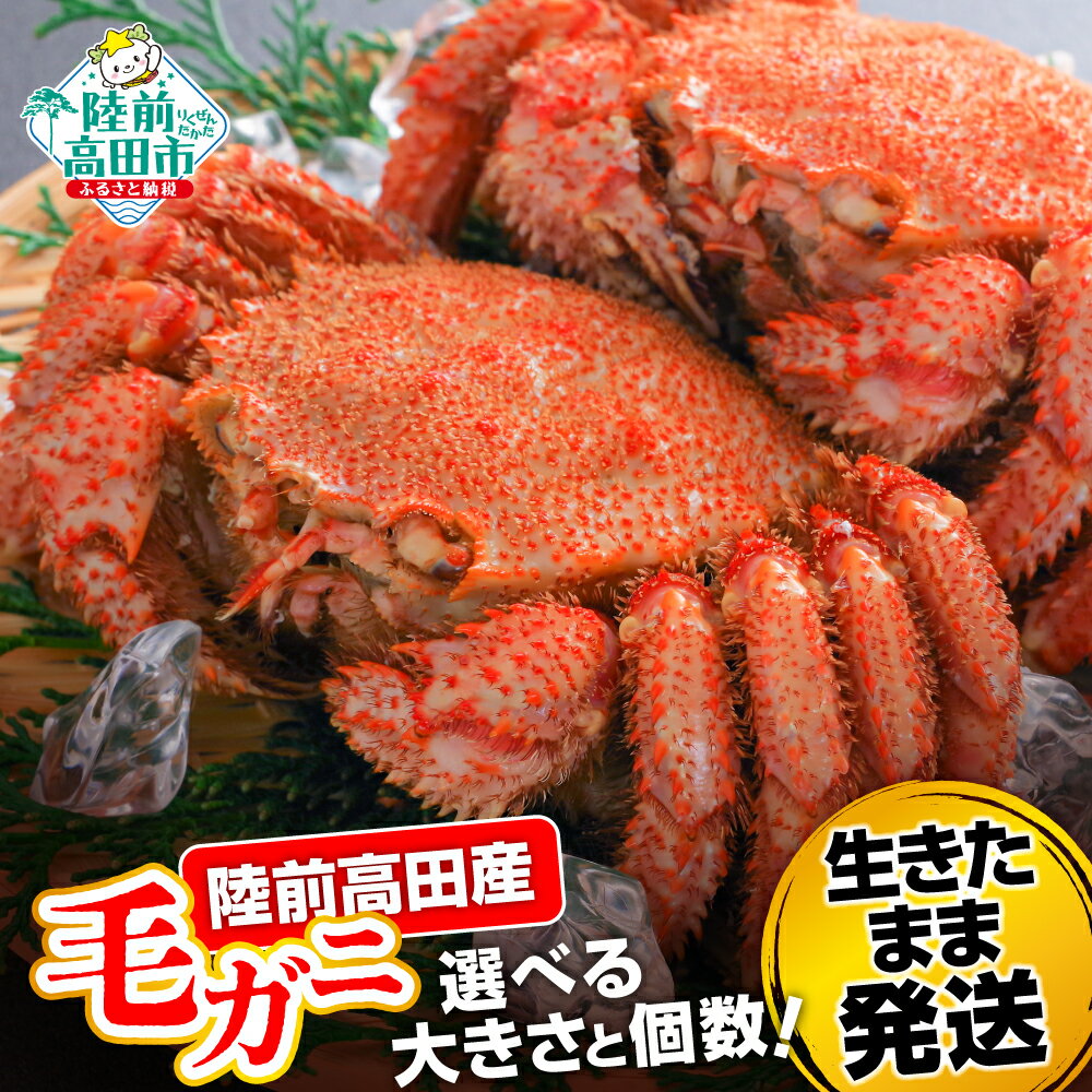 【ふるさと納税】カニ 毛ガニ 選べる サイズ 250g 〜 600g 〈生きたまま発送！〉[ かに 蟹 毛がに 毛蟹 活かに 魚介類 海産物 新鮮 天然 生鮮品 旬 人気 おすすめ 冷蔵 料理 茹で 蒸し 鍋 かにみそ 料理 ギフト 贈答品 産地直送 岩手 陸前高田 民宿志田 ]