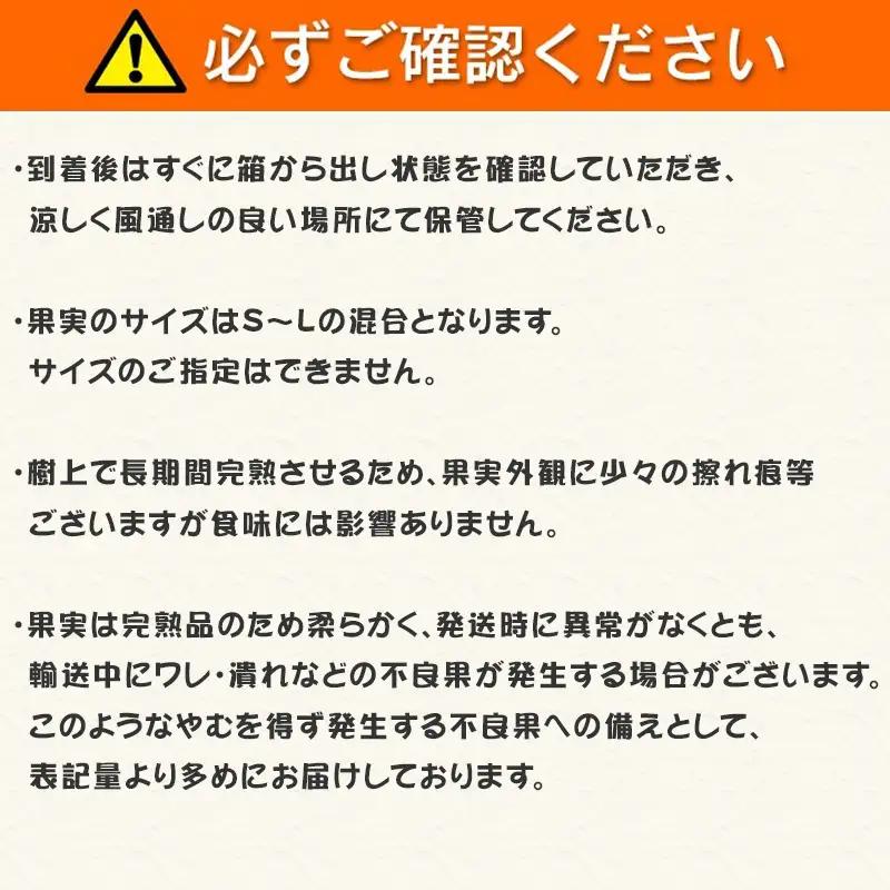 『先行予約』【令和9年1月から発送】吉田みかん園の樹上完熟みかん 5kg 柑橘 ミカン 蜜柑 フルーツ 果物
