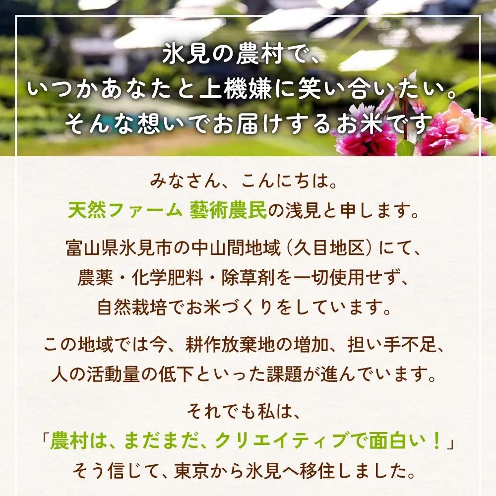 【交響するお米】［精米］自然栽培 コシヒカリ 10kg（富山県 氷見市 / 令和7年産） |   移住農家が里山から直送 米 白米 こしひかり