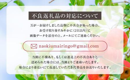【先行予約 9月中旬～1月下旬発送】飛騨高山産 飛騨りんご 約3kg(8個～11個）| りんご MA002