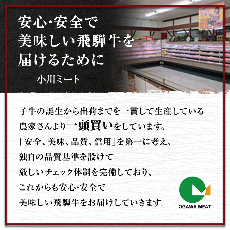 【定期便6ヶ月】牛肉 飛騨牛 すき焼き しゃぶしゃぶ セット 赤身 モモ 又は カタ 300g 黒毛和牛 Ａ5 美味しい お肉 牛 肉 和牛 すき焼き肉 すきやき すき焼肉 しゃぶしゃぶ肉 【岐阜県池