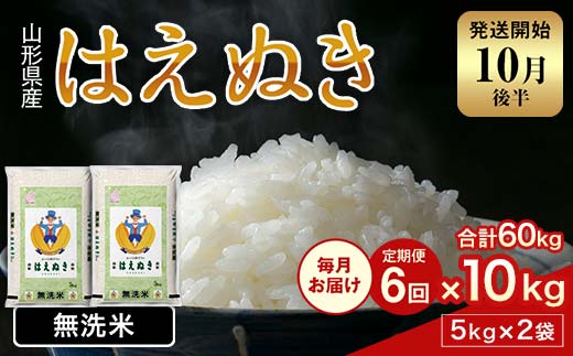FYN2-002 【6回定期便・10月後半発送】令和7年産 新米 山形県産 はえぬき 10kg 2025年 お米 米 米米 ごはん ご飯 白米 国産 ブランド米 節水 時短 冷めてもおいしい贈答 ギフト 家庭用 自宅用 お取り寄せ 食品 山形県 西川町 月山