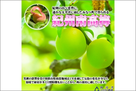 【0921-3】とまと梅　100ｇ×5個