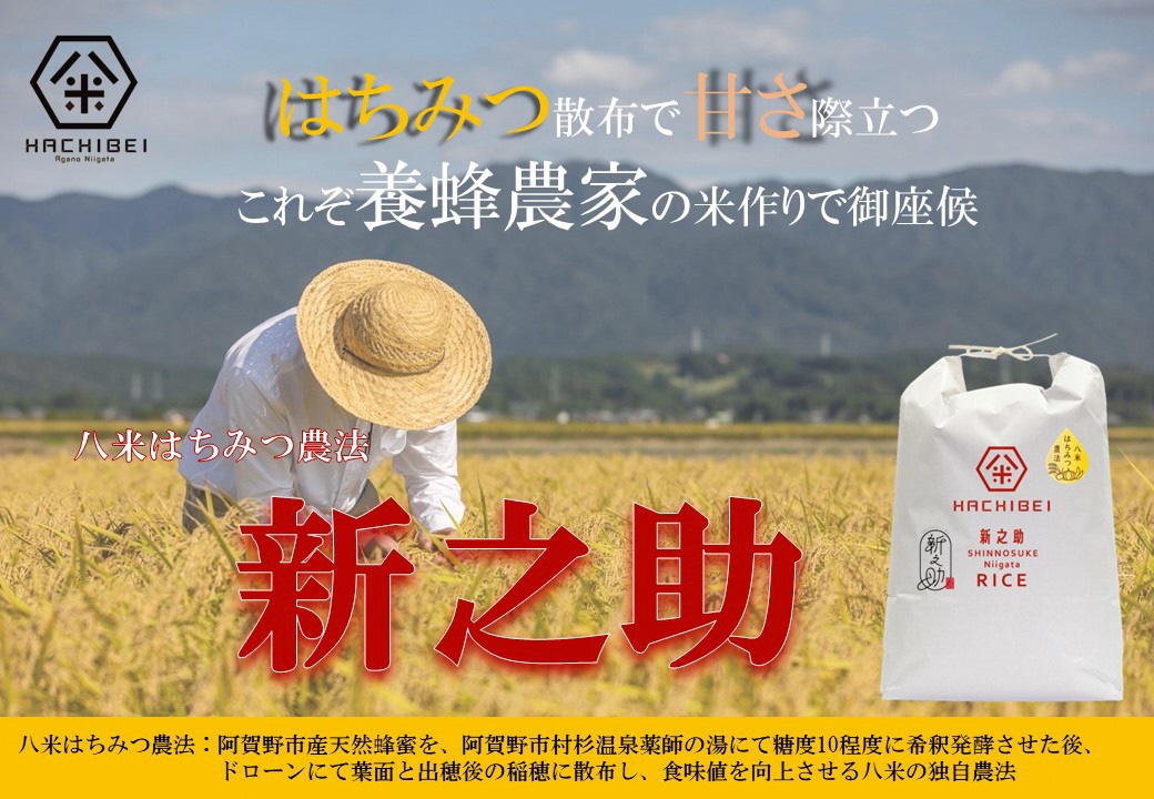 【令和8年産新米予約】【環境大臣賞受賞】【特別賞受賞】12ヶ月定期便 無洗米 はちみつ農法 新之助 10kg×12回 計120kg 10月中旬より順次発送予定 1L28313