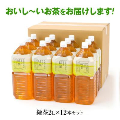 ふるさと納税 田川市 トライアルのおいし〜い緑茶(2L×12本) |  | 02
