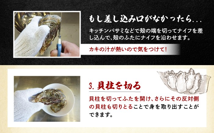 牡蠣 殻付き 殻 かき カキ 冷凍 広島牡蠣 オイスター kaki 広島県産