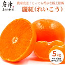 【ふるさと納税】麗紅(れいこう）ハウス栽培 唐津産 5kg 混合サイズ みかん 蜜柑 柑橘 果物 フルーツ