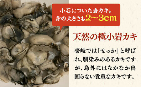 【季節限定】 天然 岩カキ 100g×2パック（生食用）《壱岐市》【鈴の海庭】 牡蠣 カキ 岩牡蠣 貝 魚貝 海産物 おつまみ カキフライ 鍋 カキ鍋 牡蠣鍋 カキ飯[JFV002]