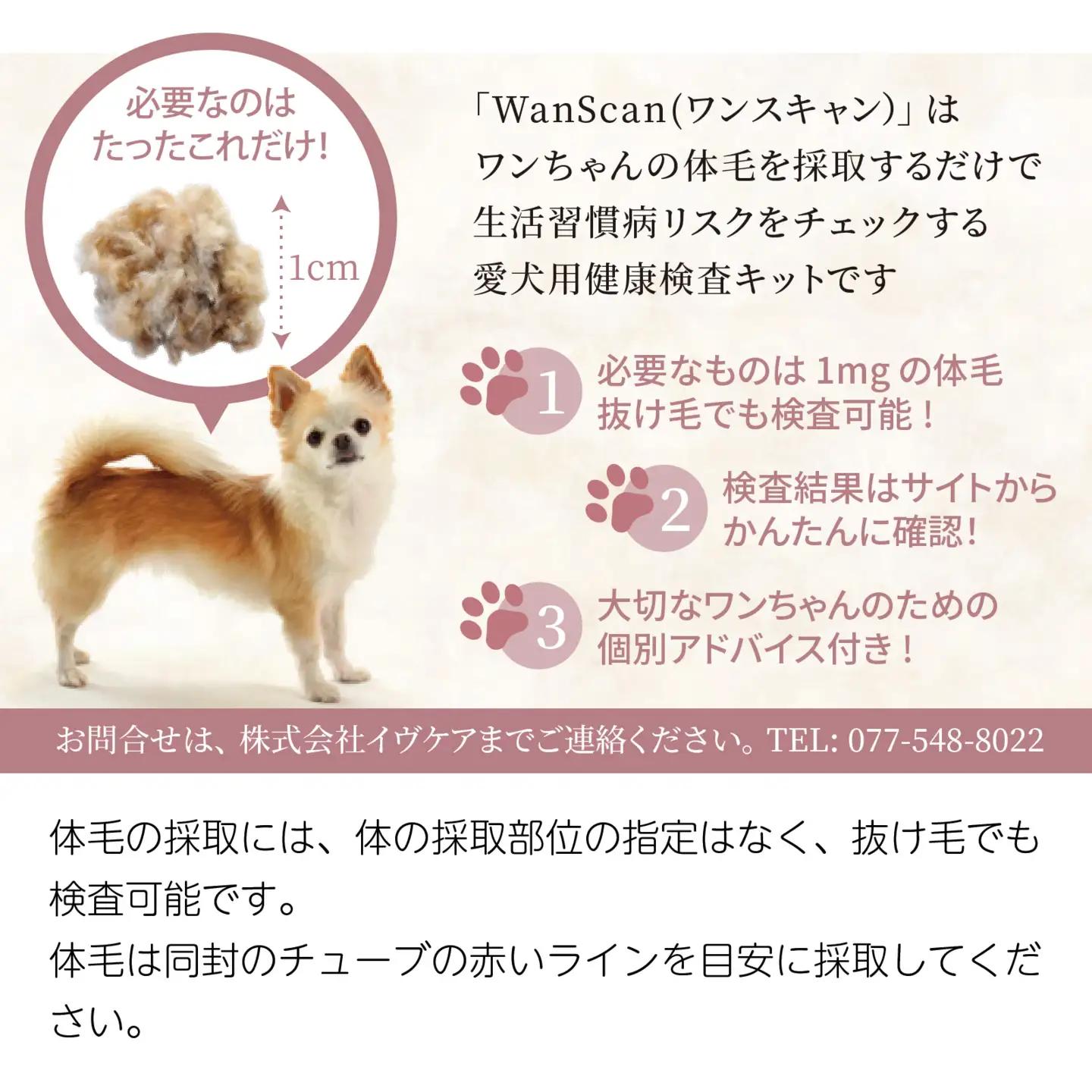 Wan Scan 愛犬用健康検査キット[EV003] / 愛犬 検査 生活習慣 健康検査キット メラトニン ストレス 肥満 リスク 送料無料