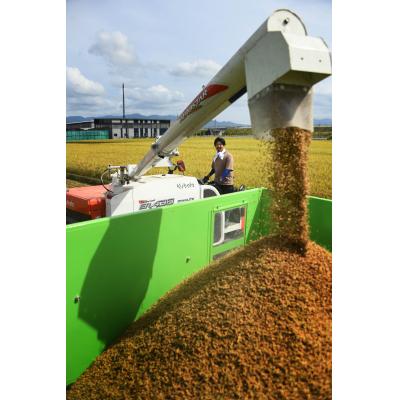 ふるさと納税 阿賀野市 【令和7年産新米】新潟県阿賀野市産 新之助 5kg |  | 02