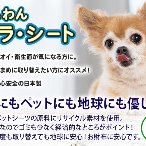 わんわんサラ・シートお徳用ワイド 100枚×4個 ペットシーツ ペットシート リサイクル エコ 経済的 サラサラ トイレシート トイレシーツ ペット イヌ いぬ 犬 ワンちゃん わんちゃん 室内犬 多