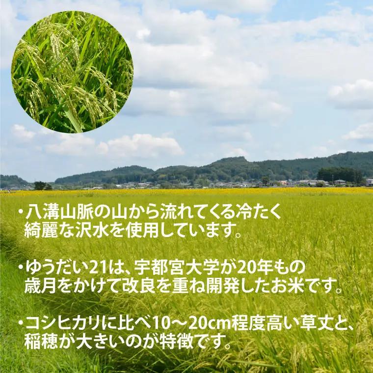 令和8年産 ゆうだい21 玄米 5kg DQ008