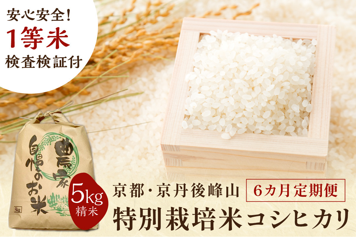 
            【6ヶ月定期便】2025年産 京都・京丹後峰山 特別栽培米コシヒカリ 5kg 【白米】 1等米 検査済証付　MF00053
          
