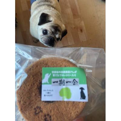 ふるさと納税 世田谷区 無為自然　一期一会・M(米粉シフォン、パウンドケーキ&スペシャルティコーヒーセット)【世田谷みやげ】 |  | 02