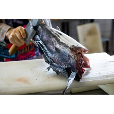 ふるさと納税 南国市 モチモチ食感!ビリかつお刺身300g×1節(刺身醤油・ニンニク付き) |  | 02