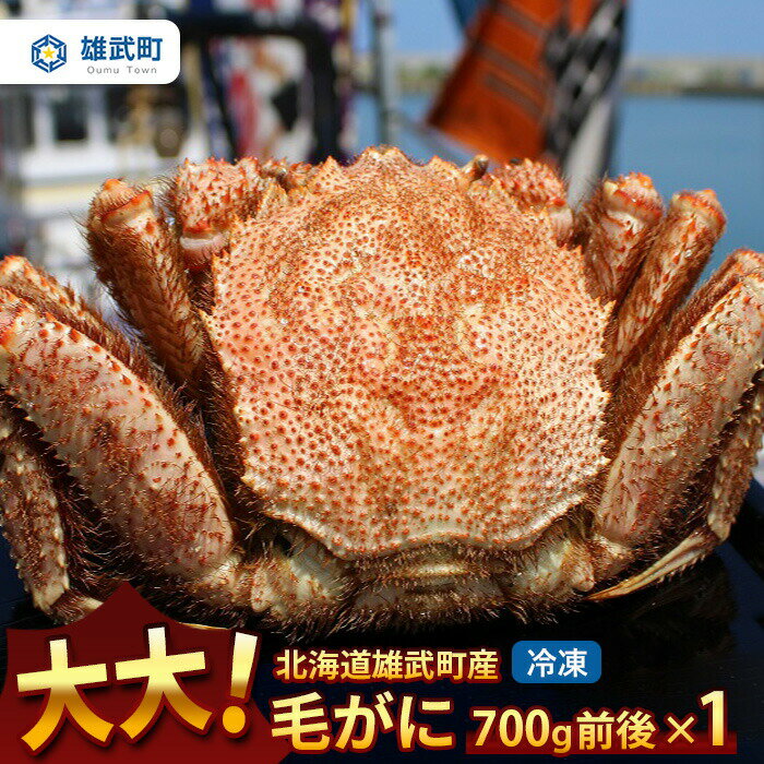 【ふるさと納税】北海道産大大大毛がに700g前後×1（冷凍）【1234801】